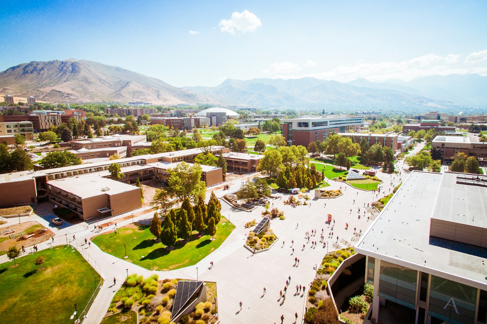 Episode 6: The Institutional Panic — Universities Seek a Lifeline
