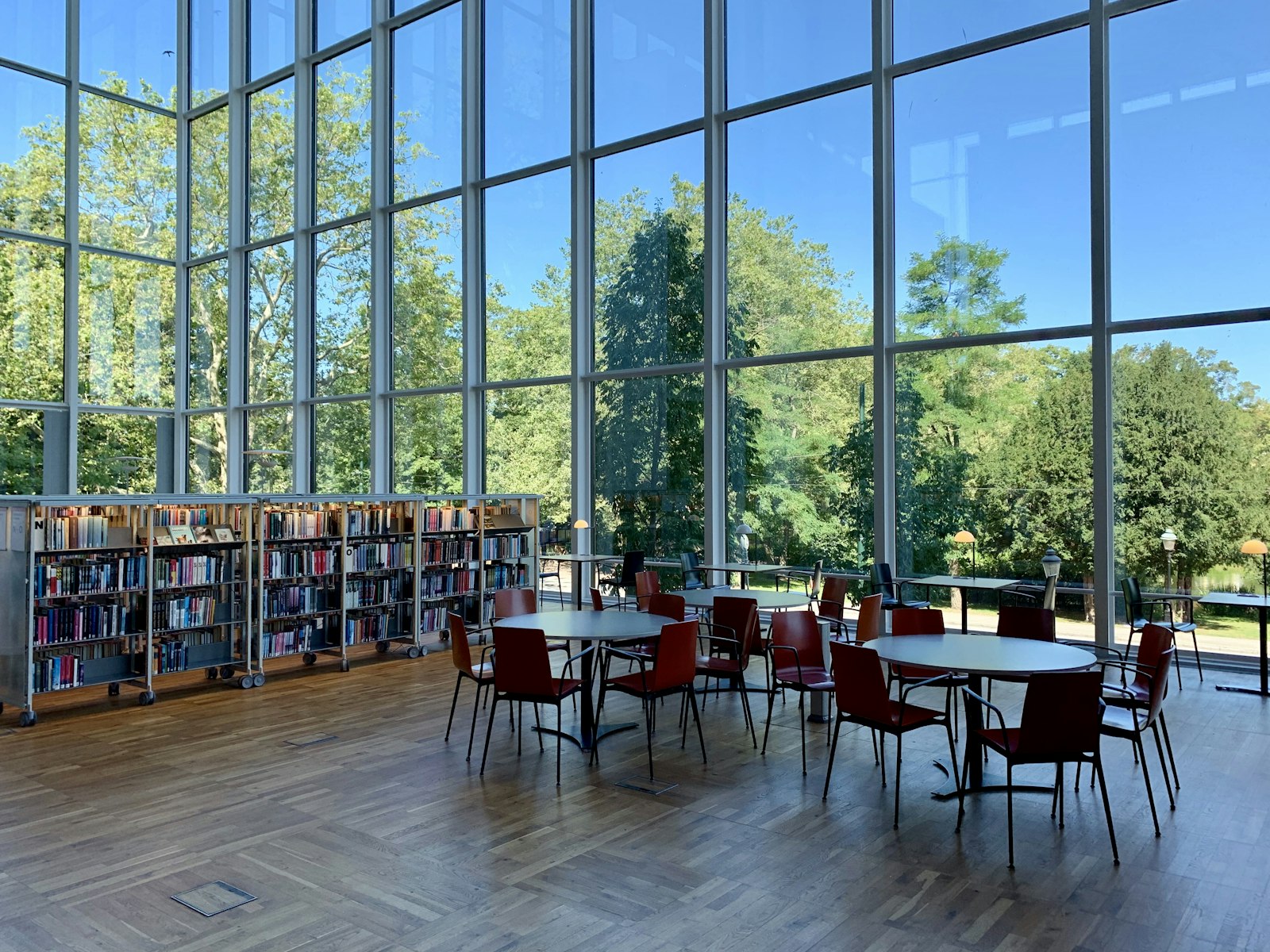 Blog article image